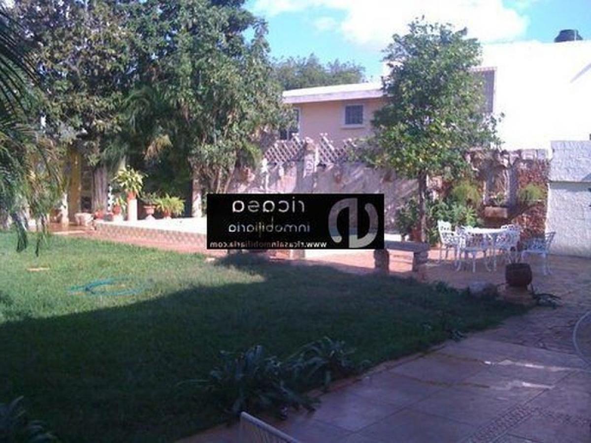 5 Schlafzimmer Haus in Yucatan, Mexico, Nr. 175401