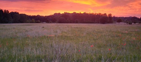 6-salle Maison de ville à Rosenthal, Germany No. 219221 7