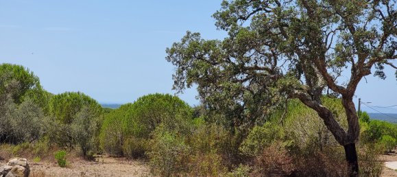 5 bedrooms Villa in Grandola, Portugal No. 101346 16