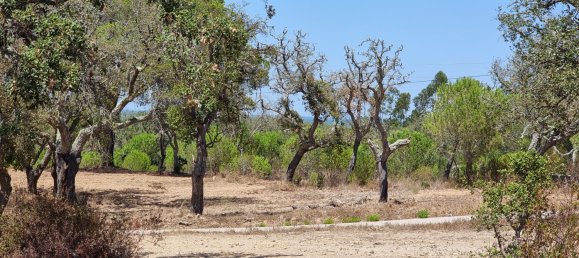 5 bedrooms Villa in Grandola, Portugal No. 101346 14