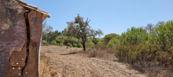 5 bedrooms Villa in Grandola, Portugal No. 101346 12