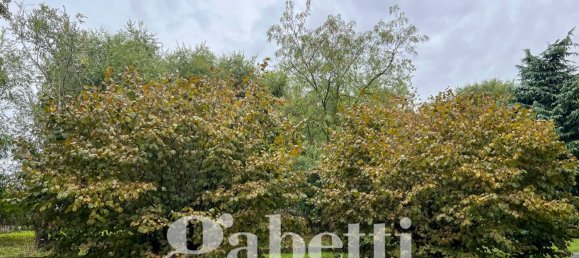 4 chambres Appartement à Settimo Torinese, Italy No. 358349 24