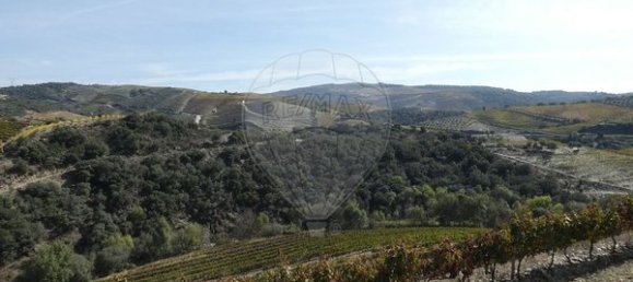 1 Schlafzimmer Haus in Valongo dos Azeites, Portugal, Nr. 49786 35