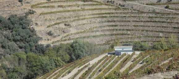 1 Schlafzimmer Haus in Valongo dos Azeites, Portugal, Nr. 49786 32