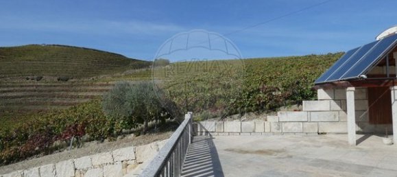 1 Schlafzimmer Haus in Valongo dos Azeites, Portugal, Nr. 49786 13