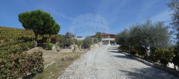 1 Schlafzimmer Haus in Valongo dos Azeites, Portugal, Nr. 49786 5