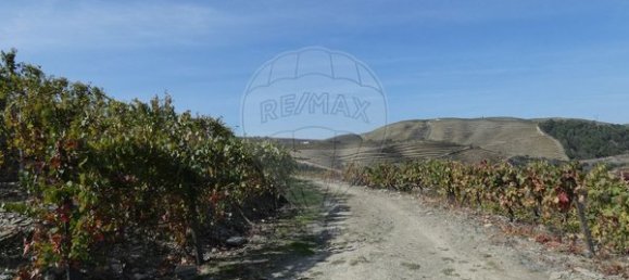 1 Schlafzimmer Haus in Valongo dos Azeites, Portugal, Nr. 49786 34