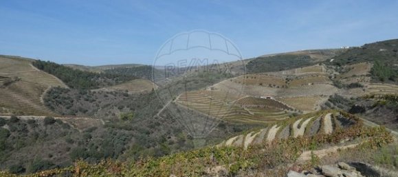 1 Schlafzimmer Haus in Valongo dos Azeites, Portugal, Nr. 49786 37