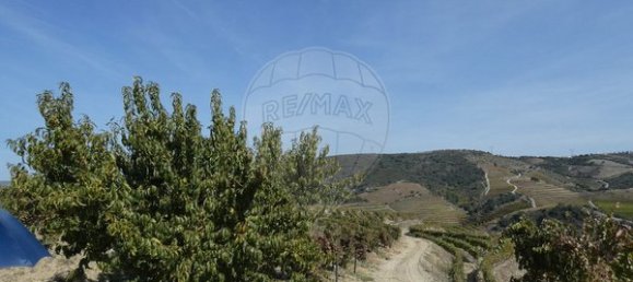 1 Schlafzimmer Haus in Valongo dos Azeites, Portugal, Nr. 49786 24