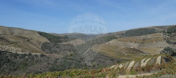 1 Schlafzimmer Haus in Valongo dos Azeites, Portugal, Nr. 49786 3