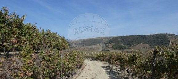 1 Schlafzimmer Haus in Valongo dos Azeites, Portugal, Nr. 49786 22