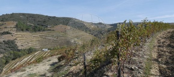 1 Schlafzimmer Haus in Valongo dos Azeites, Portugal, Nr. 49786 23