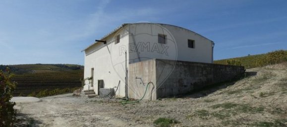 1 Schlafzimmer Haus in Valongo dos Azeites, Portugal, Nr. 49786 39