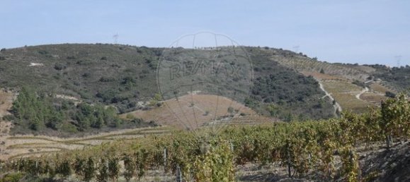 1 Schlafzimmer Haus in Valongo dos Azeites, Portugal, Nr. 49786 28