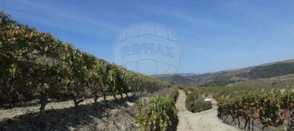 1 Schlafzimmer Haus in Valongo dos Azeites, Portugal, Nr. 49786 25