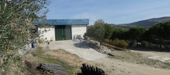 1 Schlafzimmer Haus in Valongo dos Azeites, Portugal, Nr. 49786 26