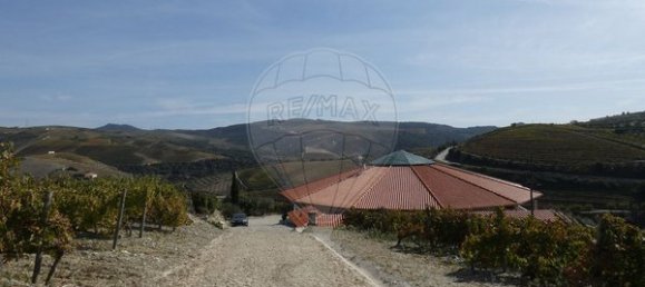 1 Schlafzimmer Haus in Valongo dos Azeites, Portugal, Nr. 49786 11