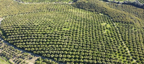 Terreno en Casares, Spain 667 m² No. 146935 12