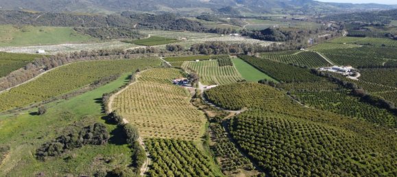 Terreno en Casares, Spain 667 m² No. 146935 10