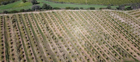 Terreno en Casares, Spain 667 m² No. 146935 8