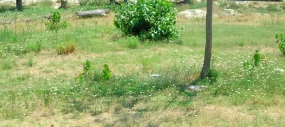 Hotel in Chalkidiki, Greece 5157m², Nr. 2246 10