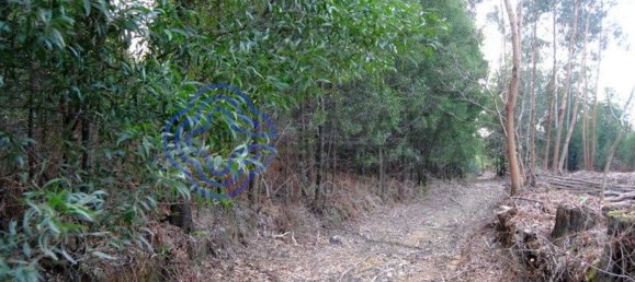 16212m² Land in Vila Nova de Gaia, Portugal No. 47831 17