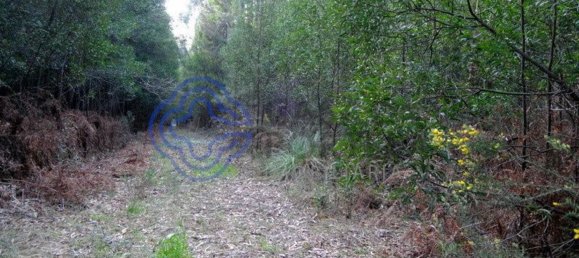 16212m² Land in Vila Nova de Gaia, Portugal No. 47831 18