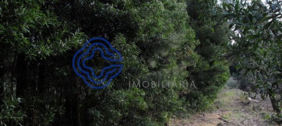 16212m² Land in Vila Nova de Gaia, Portugal No. 47831 8