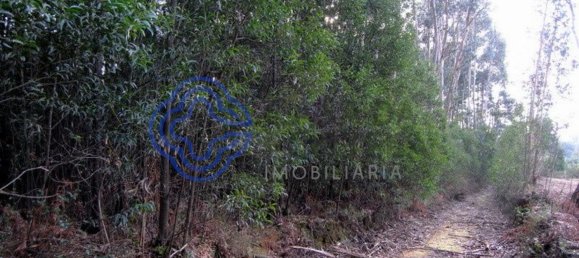 16212m² Land in Vila Nova de Gaia, Portugal No. 47831 13