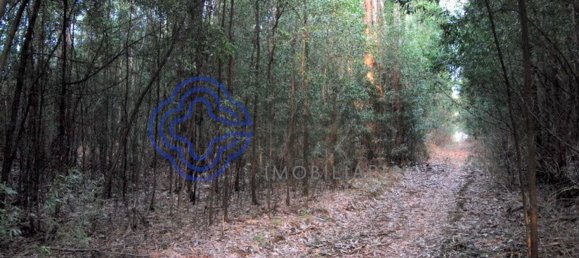 16212m² Land in Vila Nova de Gaia, Portugal No. 47831 4