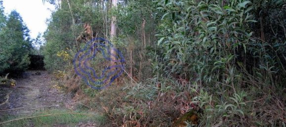 16212m² Land in Vila Nova de Gaia, Portugal No. 47831 11