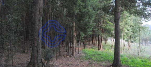 16212m² Land in Vila Nova de Gaia, Portugal No. 47831 5