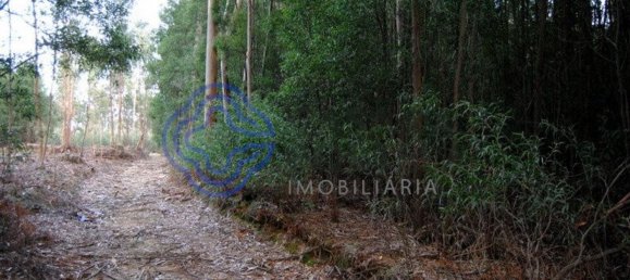 16212m² Land in Vila Nova de Gaia, Portugal No. 47831 14