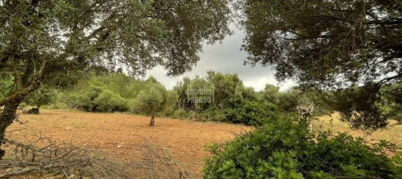 18951m² Land in Arta, Spain No. 5207 4