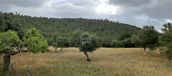 18951m² Land in Arta, Spain No. 5207 6