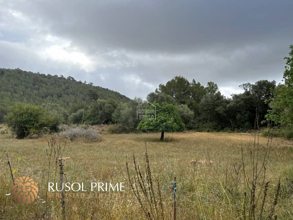 18951m² Land in Arta, Spain No. 5207