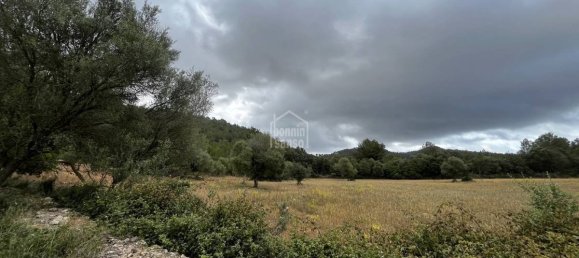 18951m² Land in Arta, Spain No. 5207 3