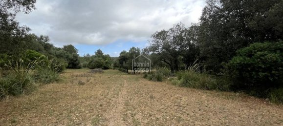 18951m² Land in Arta, Spain No. 5207 2