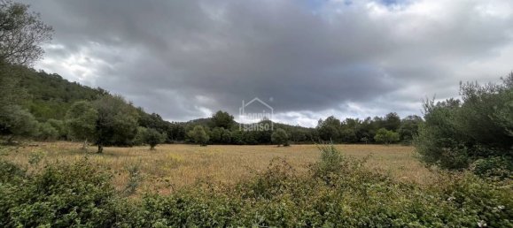 18951m² Land in Arta, Spain No. 5207 5