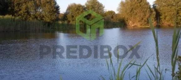 3 bedrooms House in Cacia, Portugal No. 152371 11