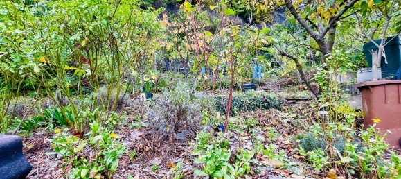 6 rooms Townhouse in Rheingau-Taunus, Germany No. 133095 22