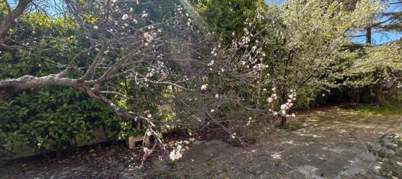 6غرفة فيلا في Pulsano, Italy رقم 43339 10