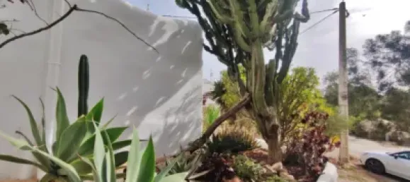 6 chambres Maison à Nijar, Spain No. 134611 16