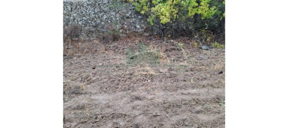 Земельный участок 91840м² в Вакейруш, Португалия № 69769 19