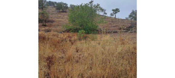 Земельный участок 91840м² в Вакейруш, Португалия № 69769 18