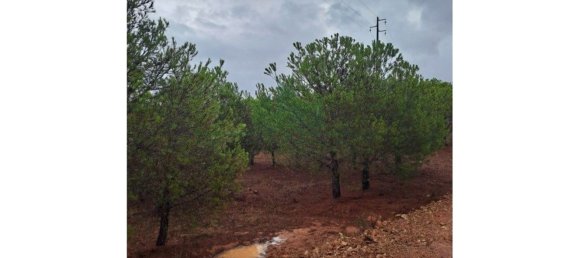 Земельный участок 91840м² в Вакейруш, Португалия № 69769 15