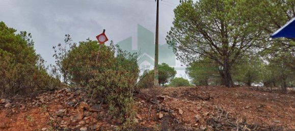 Земельный участок 91840м² в Вакейруш, Португалия № 69769 27