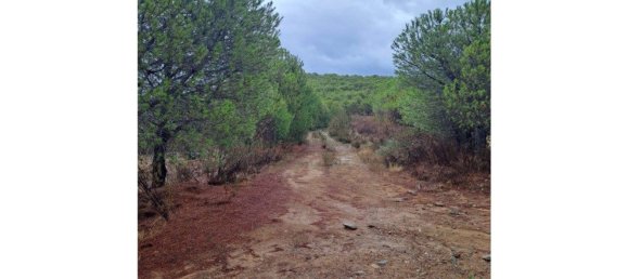 Земельный участок 91840м² в Вакейруш, Португалия № 69769 3