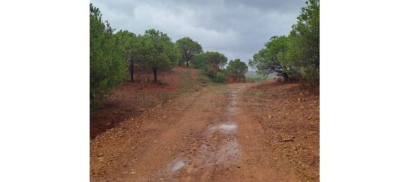 Земельный участок 91840м² в Вакейруш, Португалия № 69769 13