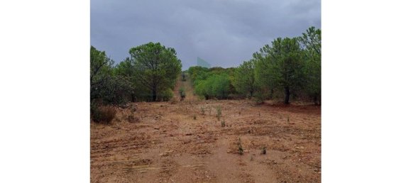 Земельный участок 91840м² в Вакейруш, Португалия № 69769 16